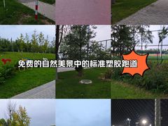 -瀛海足球主题公园