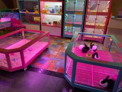 点击看大图 -卡通尼乐园(重庆南坪协信星光店)
