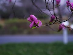 -白塘生态植物园
