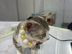 -重庆国际会议展览中心