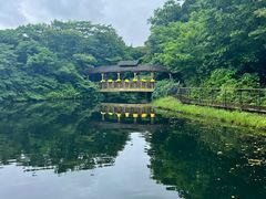 -济州森林小火车生态公园