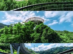 -福道