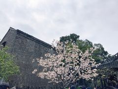 -何园