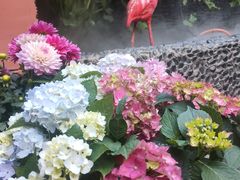 -胖子菜馆(花园餐厅店)