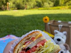 -上海共青森林公园