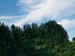 -大蜀山国家森林公园