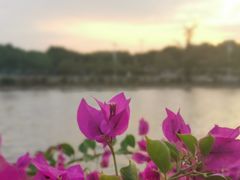 -时光花园(白鹭洲店)