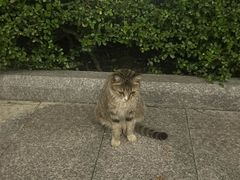 -广州白云广雅实验学校