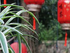 -国生茶庄·地道农家菜团建活动