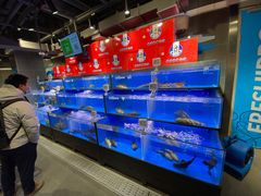 水产区-盒马鲜生(双清路店)
