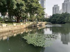 -荔枝公园(福田区)