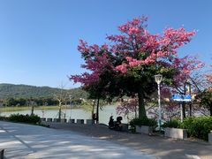 -风云岭森林公园