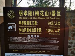 -紫霞湖公园