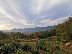 -塔川景区