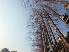 -西湖文化广场