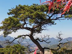 -大连天门山国家森林公园