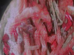 -深巷家味馆.湖北头牌红烧鱼头拌饭(黄陂店)