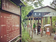 景点-青峰峡国家森林公园