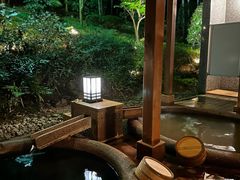 -有马温泉 竹取亭円山温泉旅馆