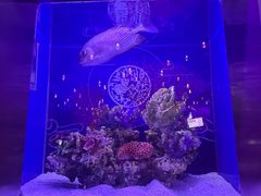-上海海昌海洋公园