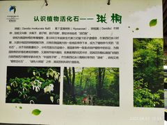 -龙苍沟森林公园