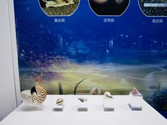 -贝壳王国博物馆
