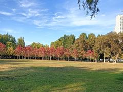 -哈尔滨文化公园