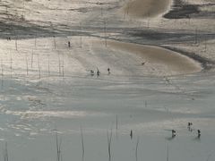 -小皓村