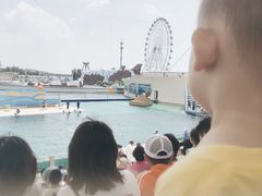 -秦皇岛乐岛海洋王国