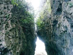 -鹅銮鼻公园