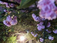 -鸡鸣寺