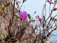 -帽儿山风景区