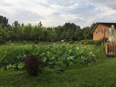-中家鑫园温泉酒店鑫悦汤泉