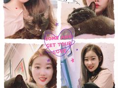 -喵屿·大理花园猫咖