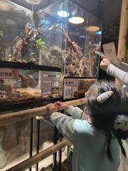 -Zoolung Zoolung动物主题公园(海信广场店)