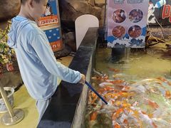 -烟台海昌鲸鲨海洋公园