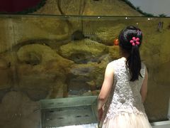 -上海昆虫博物馆