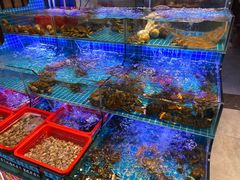 水产区-八婆婆烧仙草(曾厝垵店)