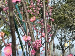 -东钱湖小普陀景区