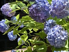 -湖滨客舍·湖北菜