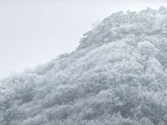 -沂蒙山旅游区云蒙景区(蒙山国家森林公园)