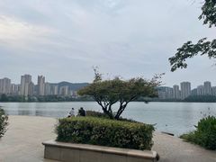 -梅溪湖城市岛