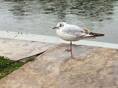 -海埂大坝