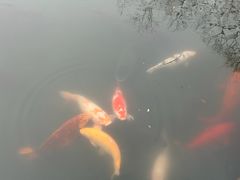-津品味小吃(大学湾店)