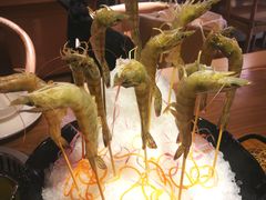 尚海豆捞の明虾-尚海豆捞(乐虹坊店)