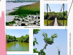 -上海吴淞炮台湾国家湿地公园