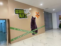 -凯德MALL(望京店)