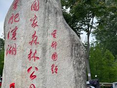 -合肥滨湖国家森林公园