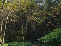 -仙岳公园
