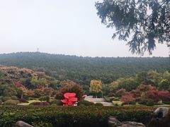 -云龙湖旅游景区